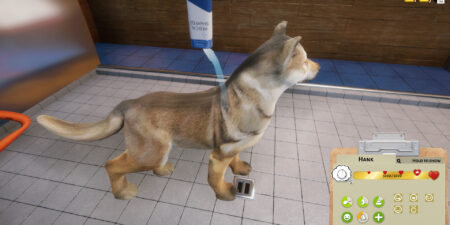 Animal Shelter Free Download Animal Shelter Free Download