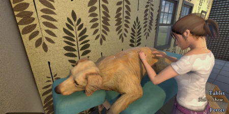 Pets Hotel Free Download Pets Hotel Free Download