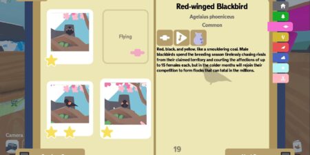 Flock Around Free Download Flock Around Free Download